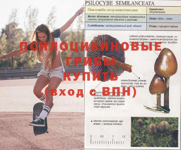 экстази Нефтекумск
