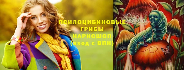 гашик Нефтегорск