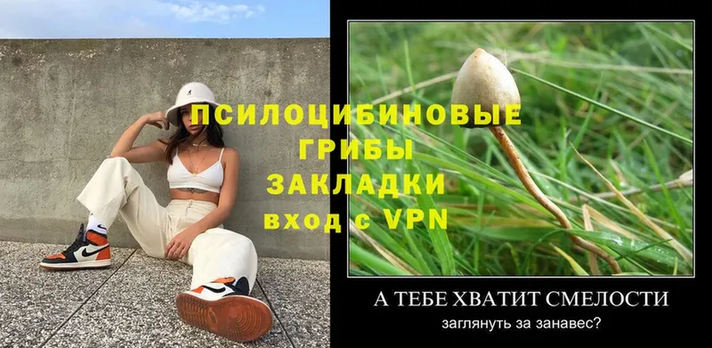 Галлюциногенные грибы Psilocybe  Электроугли 